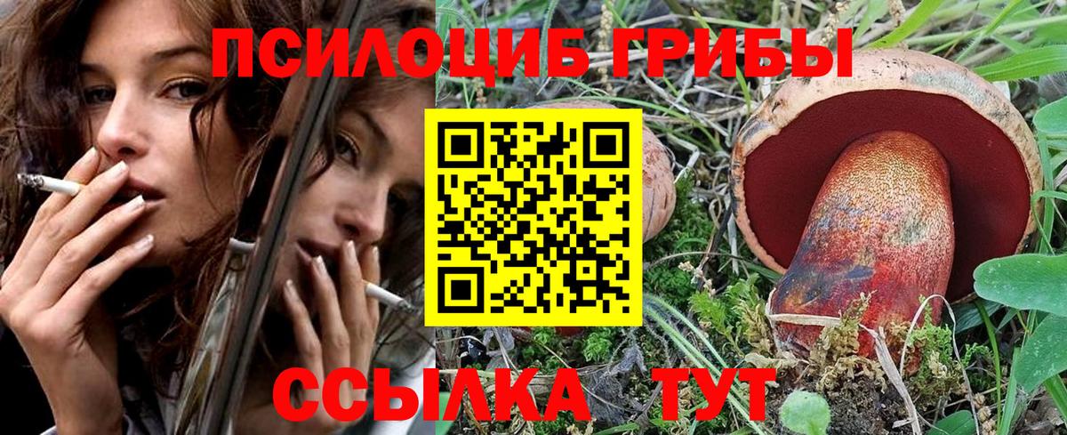 Псилоцибиновые грибы Cubensis  Вход с VPN  Рузаевка 